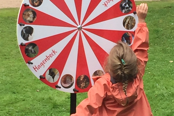 Commander roue de la fortune